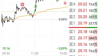 山东墨龙股票(山东墨龙股票股吧)