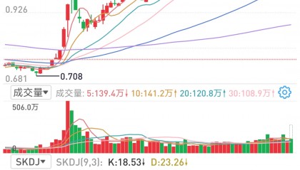 中集集团股票(中集集团股票股吧)