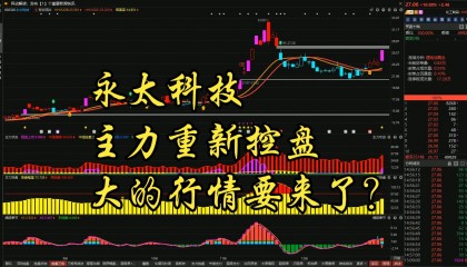 永太科技股票(永太科技股票未来走势预测)