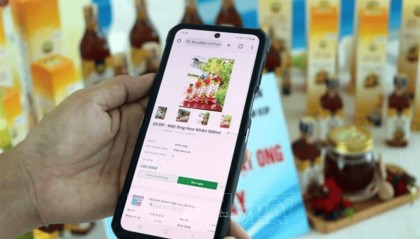 越南知识产权领域涉外申请数量持续攀升