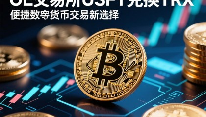 数字货币交易所投资(数字货币交易所赚钱吗)