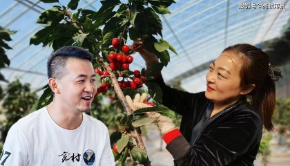 两会说的“开发式帮扶”到底咋帮？总不能光发钱吧
