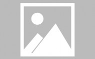 DOT交易所(dodo交易所官网)
