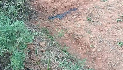 农民工在南昌一工地附近上厕所时遭气枪击中身亡！尸检推断刚蹲下就出事了，肇事者被刑拘