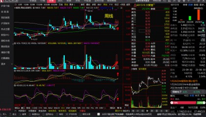 大智慧股票软件(大智慧股票软件下载安装)