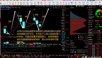 双汇发展股票(双汇发展股票分红)