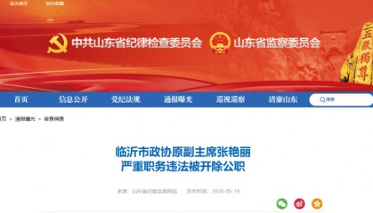 临沂市政协原副主席张艳丽被开除公职：在干部人事工作中违规为他人谋取利益，非法收受巨额财物