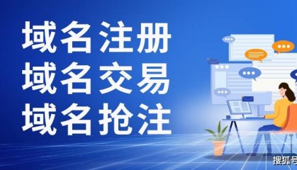 怎样买下一个域名？