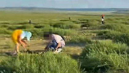 紫牛热点∣内蒙古乌兰哈达火山群能挖出黄金？当地：没有黄金矿藏，可捡拾地表小玛瑙留念