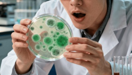 青霉素的发现：弗莱明实验室最值钱的 “邋遢”