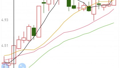 星源材质股票(星源材质股票股吧)