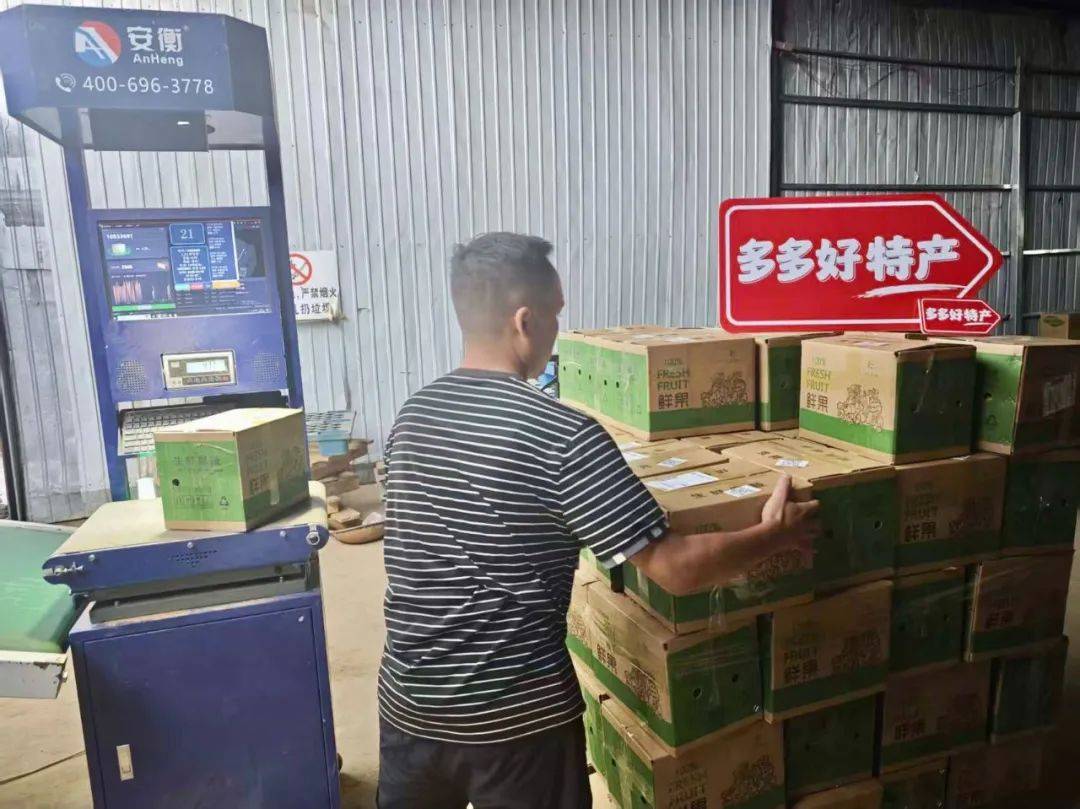 程序员转行卖木瓜！开发AI系统日销万单