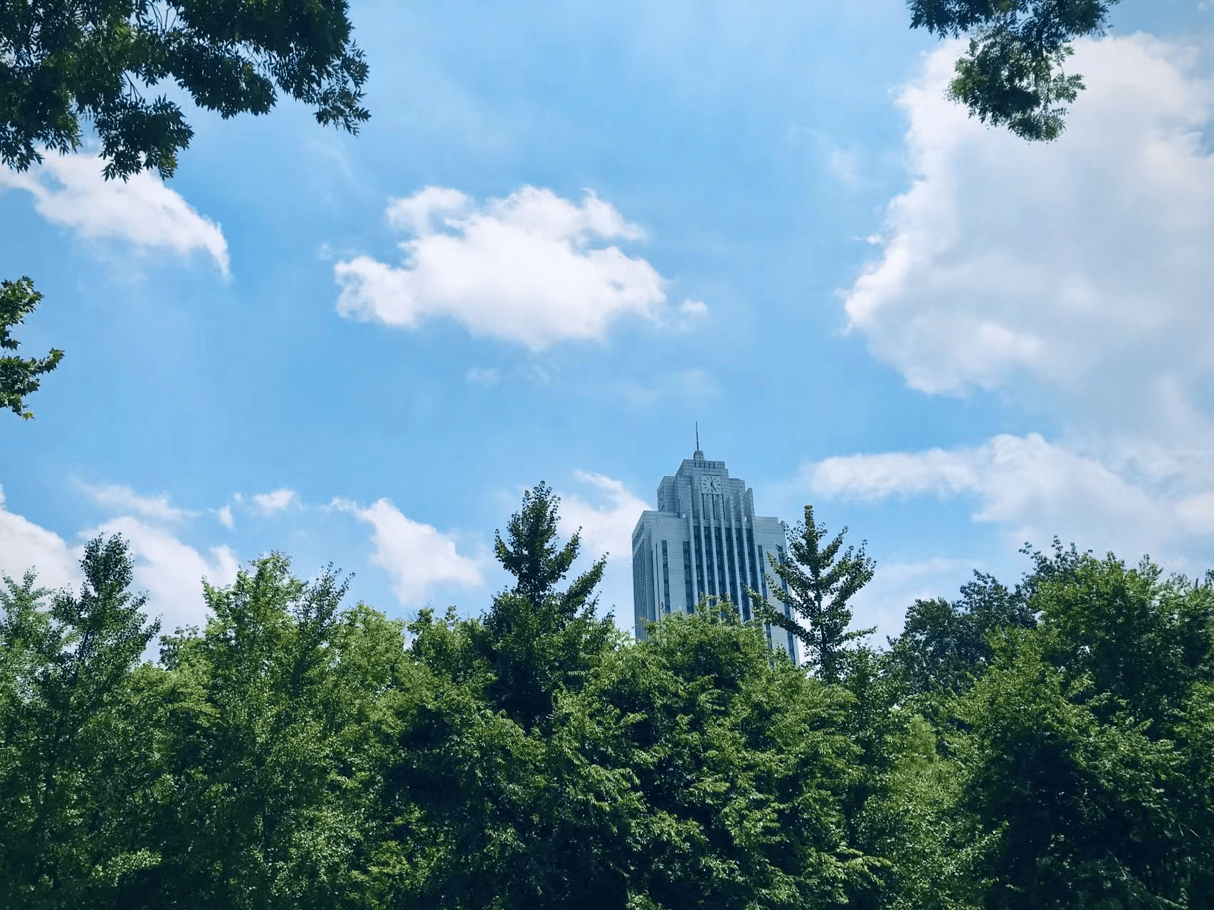 农村专科生逆袭985博士 35岁卡点找到工作