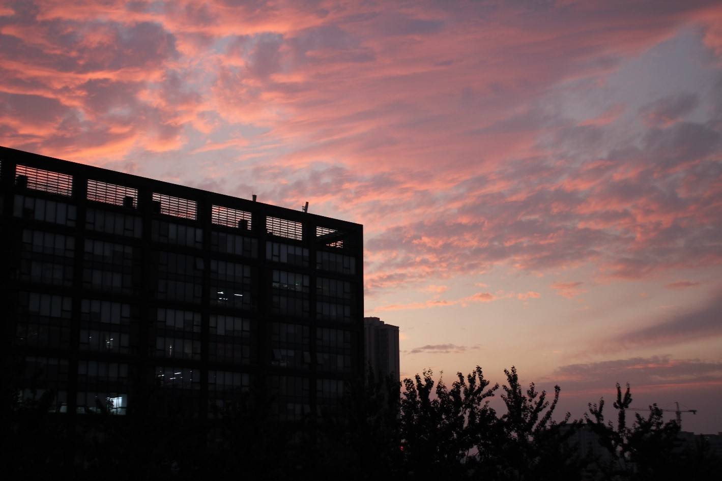 农村专科生逆袭985博士 35岁卡点找到工作