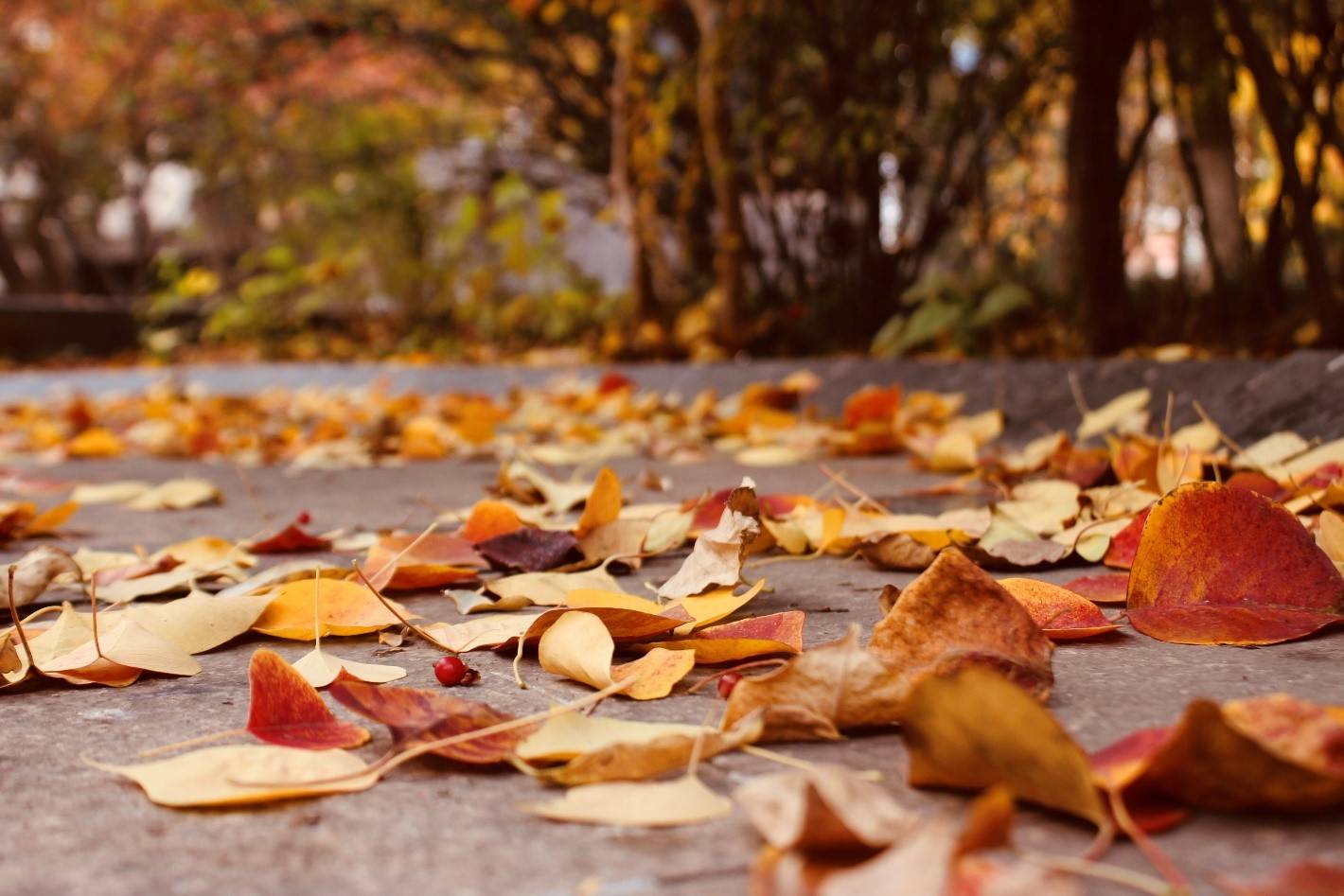 农村专科生逆袭985博士 35岁卡点找到工作