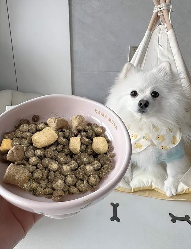 2025吃什么狗粮好？什么牌子的狗粮比较好？狗粮推荐什么品牌？