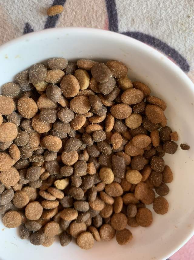 2025吃什么狗粮好？什么牌子的狗粮比较好？狗粮推荐什么品牌？