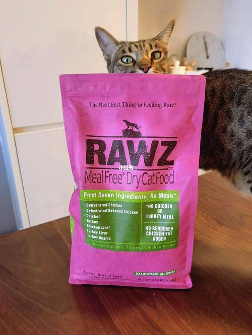 暹罗猫肥胖吃什么猫粮好？什么牌子的猫粮好？