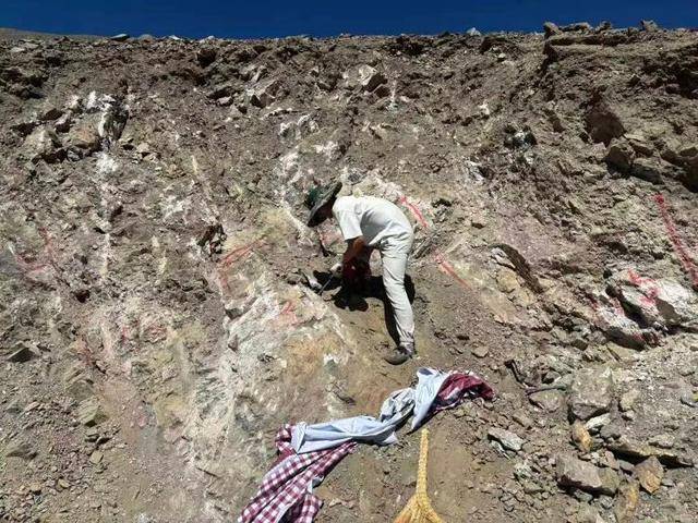 长沙00后小伙在新疆“找矿”，却因喂牛视频走红，当事人：每天见的牛羊比人还多