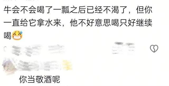 长沙00后小伙在新疆“找矿”，却因喂牛视频走红，当事人：每天见的牛羊比人还多