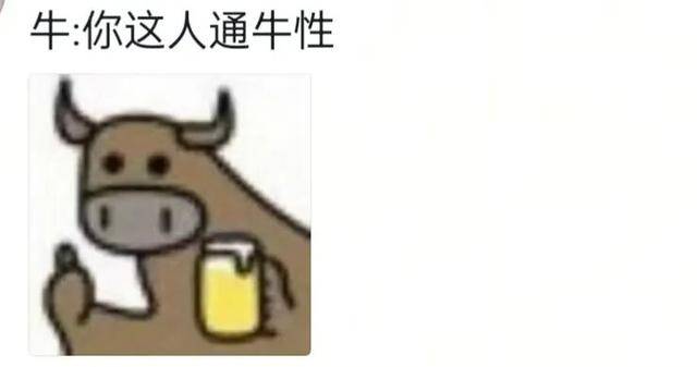 长沙00后小伙在新疆“找矿”，却因喂牛视频走红，当事人：每天见的牛羊比人还多