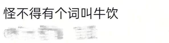 长沙00后小伙在新疆“找矿”，却因喂牛视频走红，当事人：每天见的牛羊比人还多