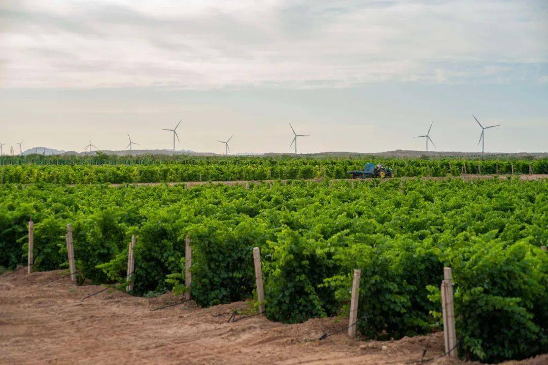 张裕走进深圳名企 携手开发高端圈层潜力
