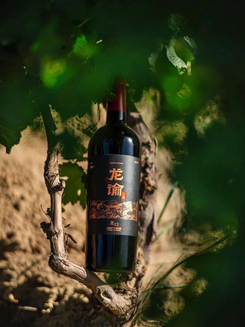 张裕走进深圳名企 携手开发高端圈层潜力