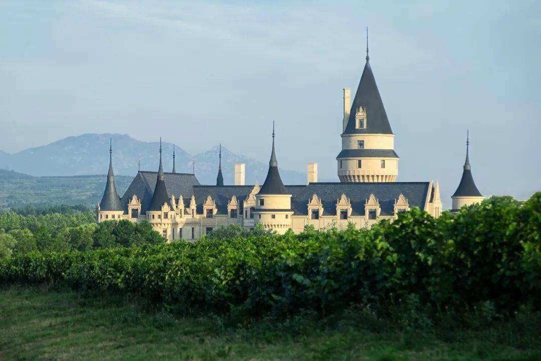 张裕走进深圳名企 携手开发高端圈层潜力