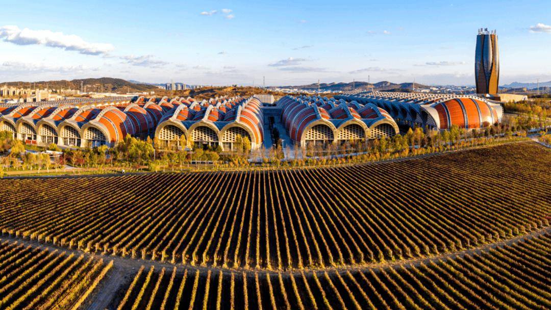 张裕走进深圳名企 携手开发高端圈层潜力