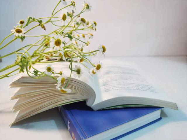 “长脑子”最快的5个小妙招！超简单，强烈建议你试试