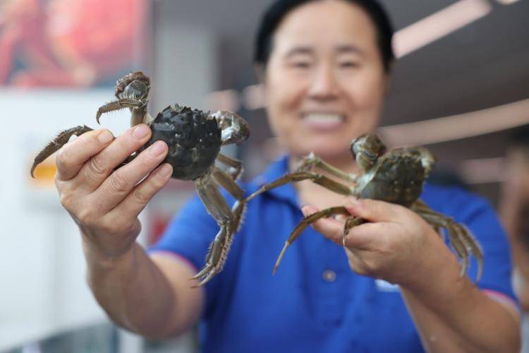 东营市垦利区：黄河口大闸蟹抢“鲜”上市