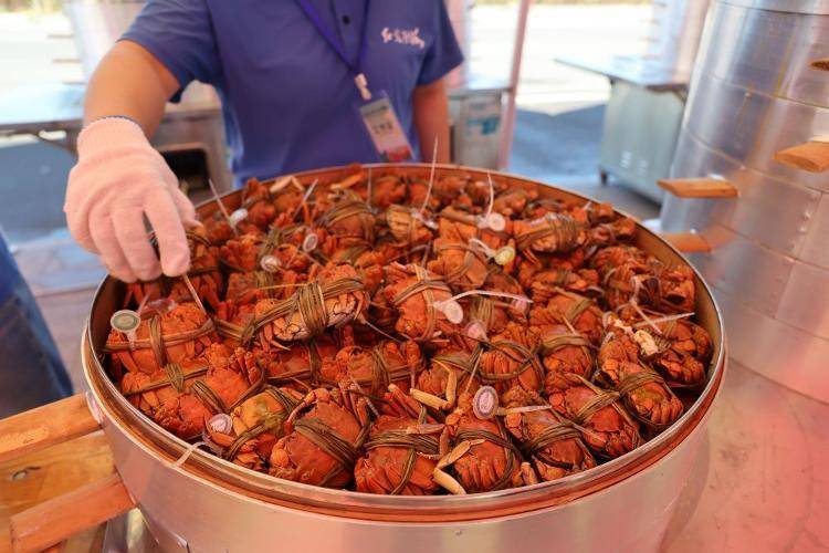 东营市垦利区：黄河口大闸蟹抢“鲜”上市