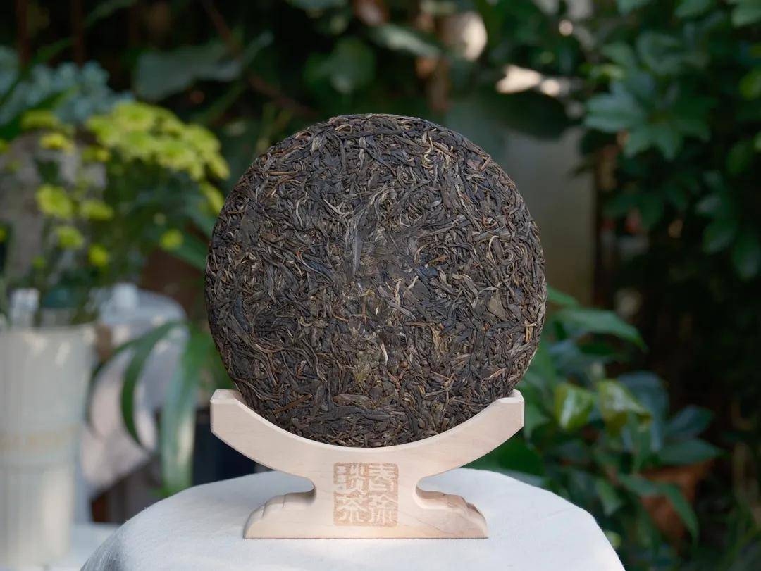 【闲来一品】·2018头春永德大雪山古树