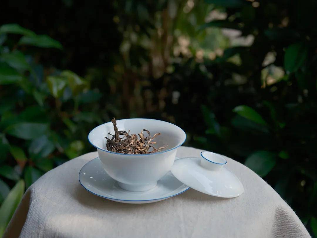 【闲来一品】·2018头春永德大雪山古树