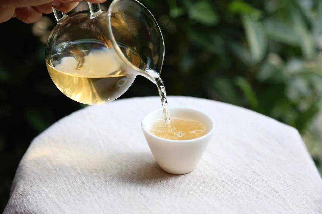 【闲来一品】·2018头春永德大雪山古树