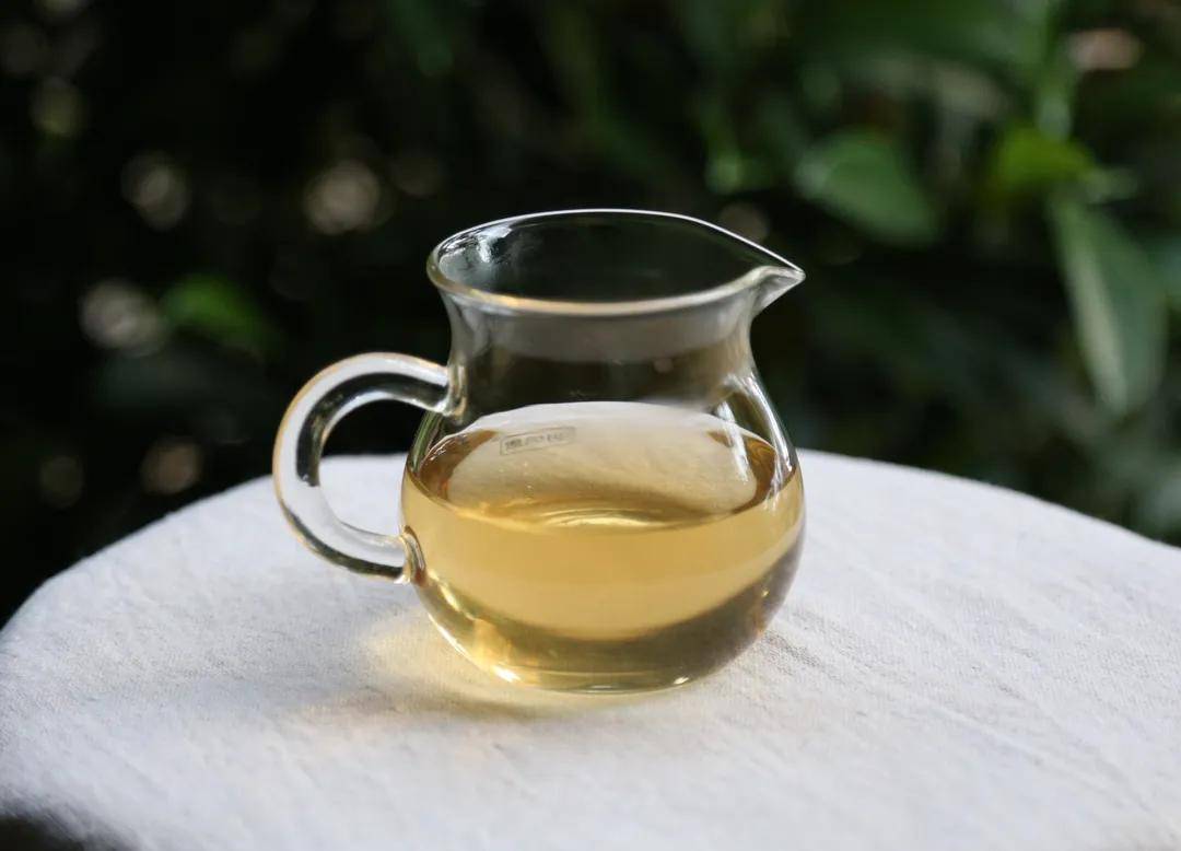 【闲来一品】·2018头春永德大雪山古树