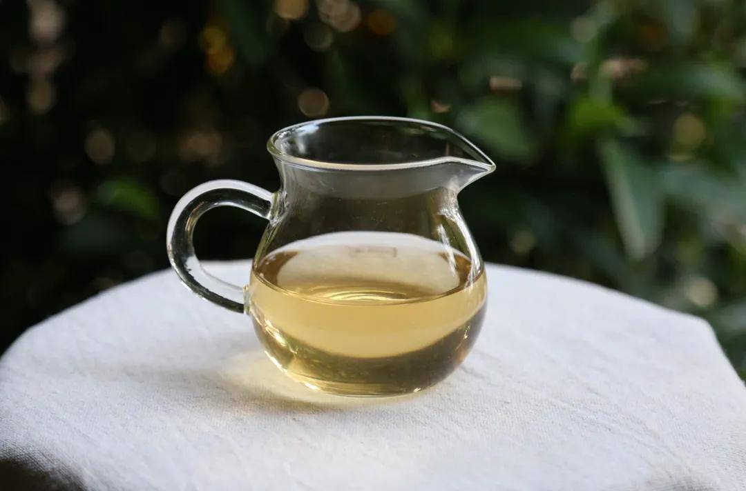 【闲来一品】·2018头春永德大雪山古树