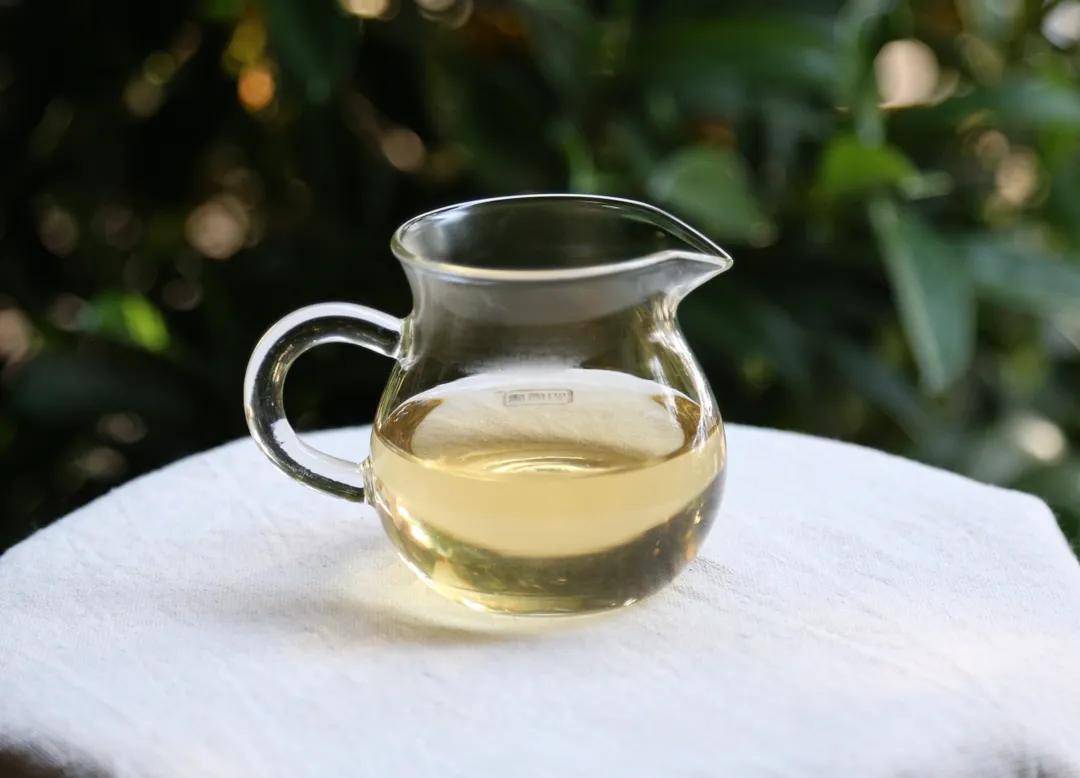 【闲来一品】·2018头春永德大雪山古树