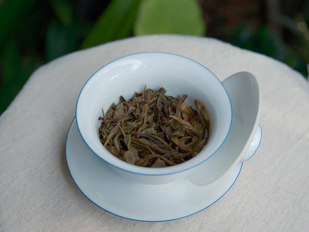 【闲来一品】·2018头春永德大雪山古树