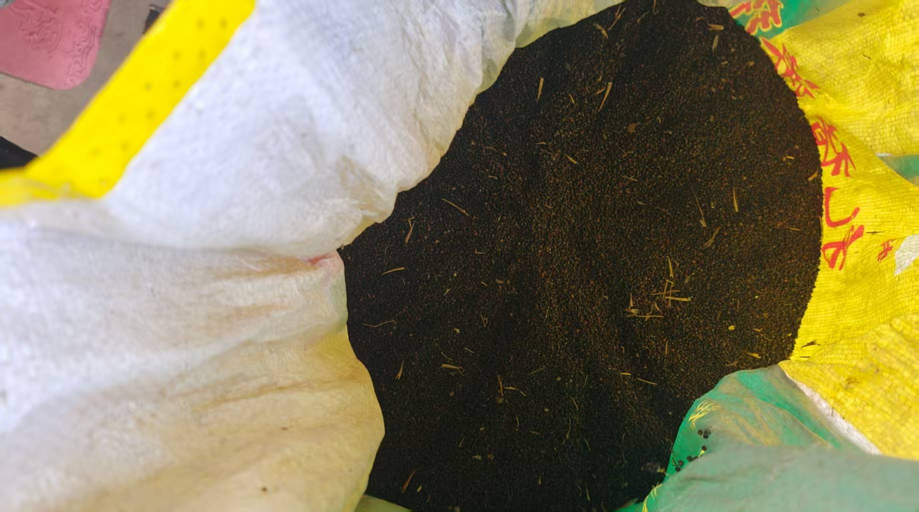 开阳县中桥村：“小菜籽”榨出乡村振兴“黄金油”