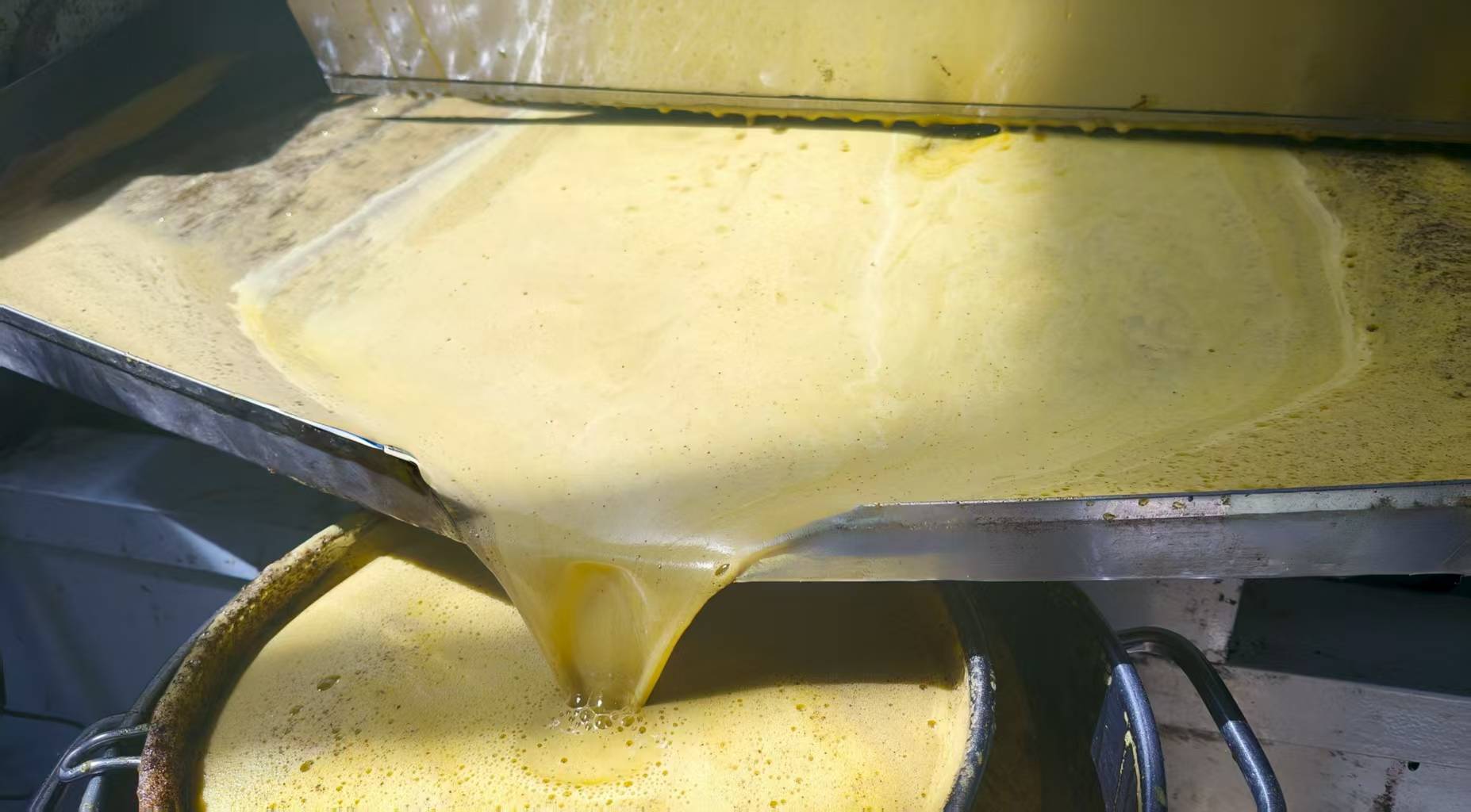 开阳县中桥村：“小菜籽”榨出乡村振兴“黄金油”