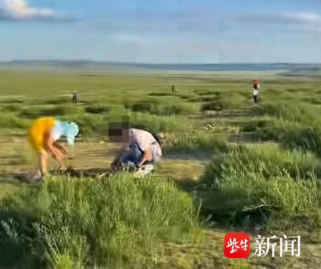 紫牛热点∣内蒙古乌兰哈达火山群能挖出黄金？当地：没有黄金矿藏，可捡拾地表小玛瑙留念