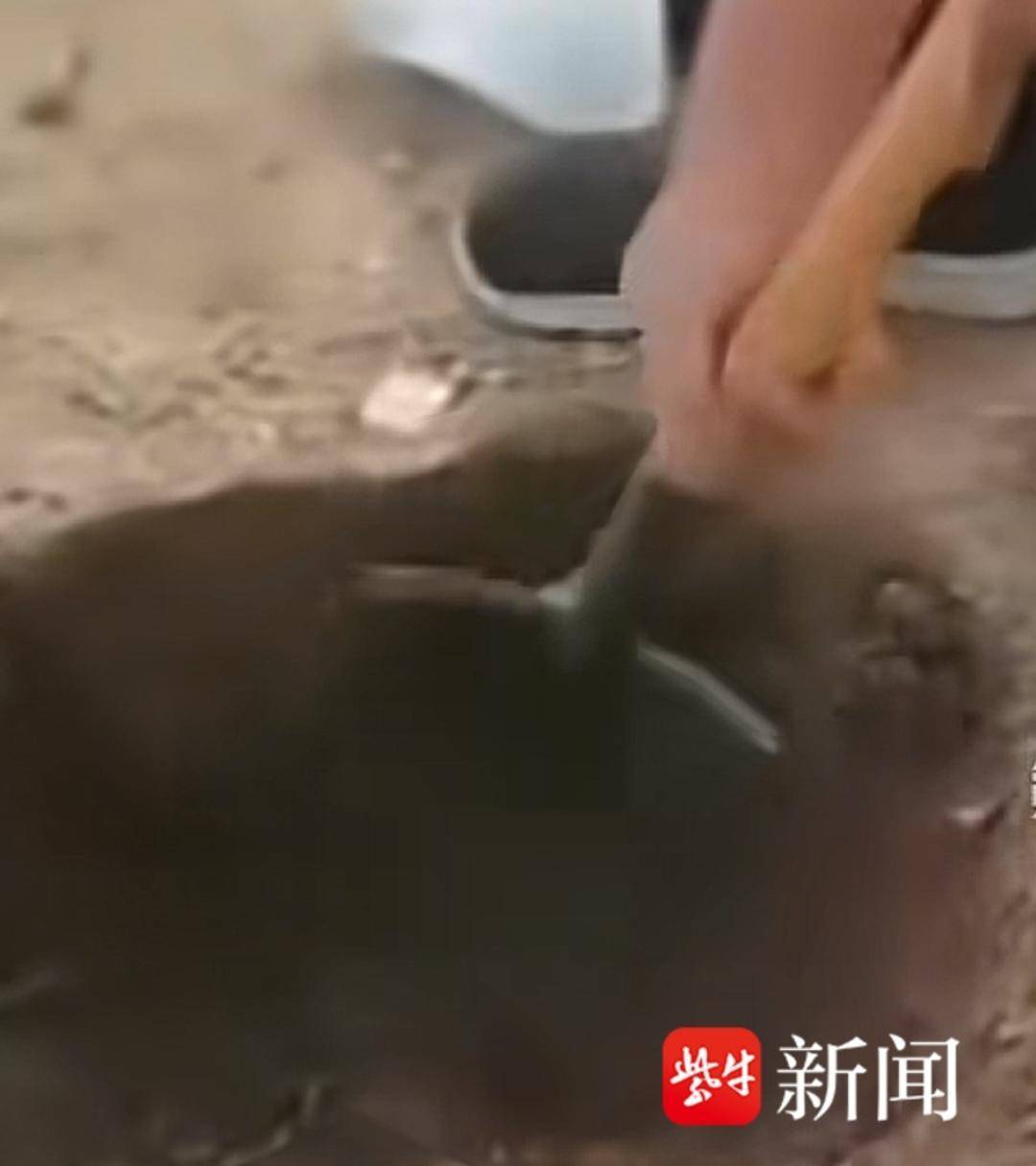 紫牛热点∣内蒙古乌兰哈达火山群能挖出黄金？当地：没有黄金矿藏，可捡拾地表小玛瑙留念