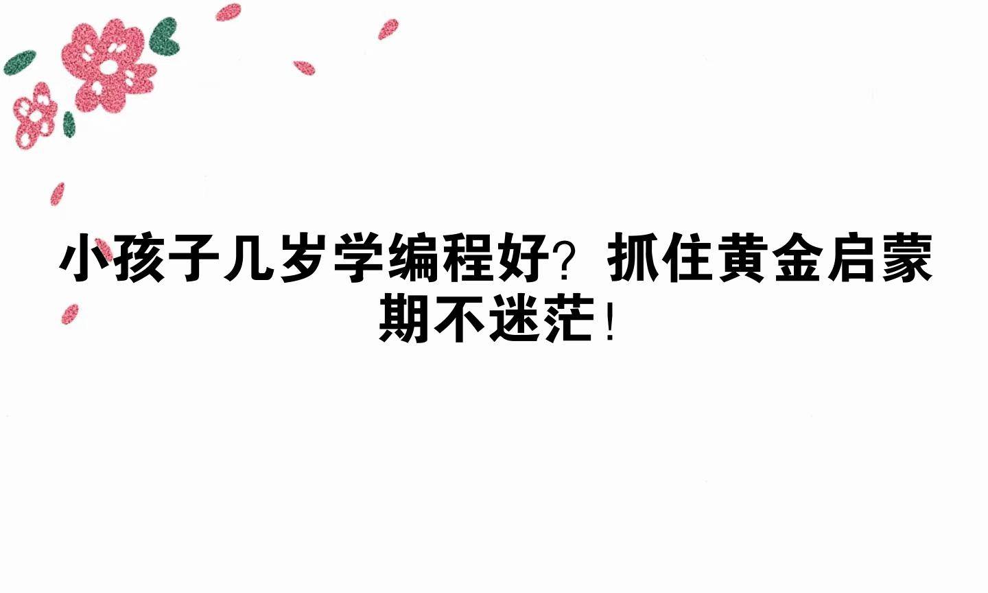 小孩子几岁学编程好？抓住黄金启蒙期不迷茫！