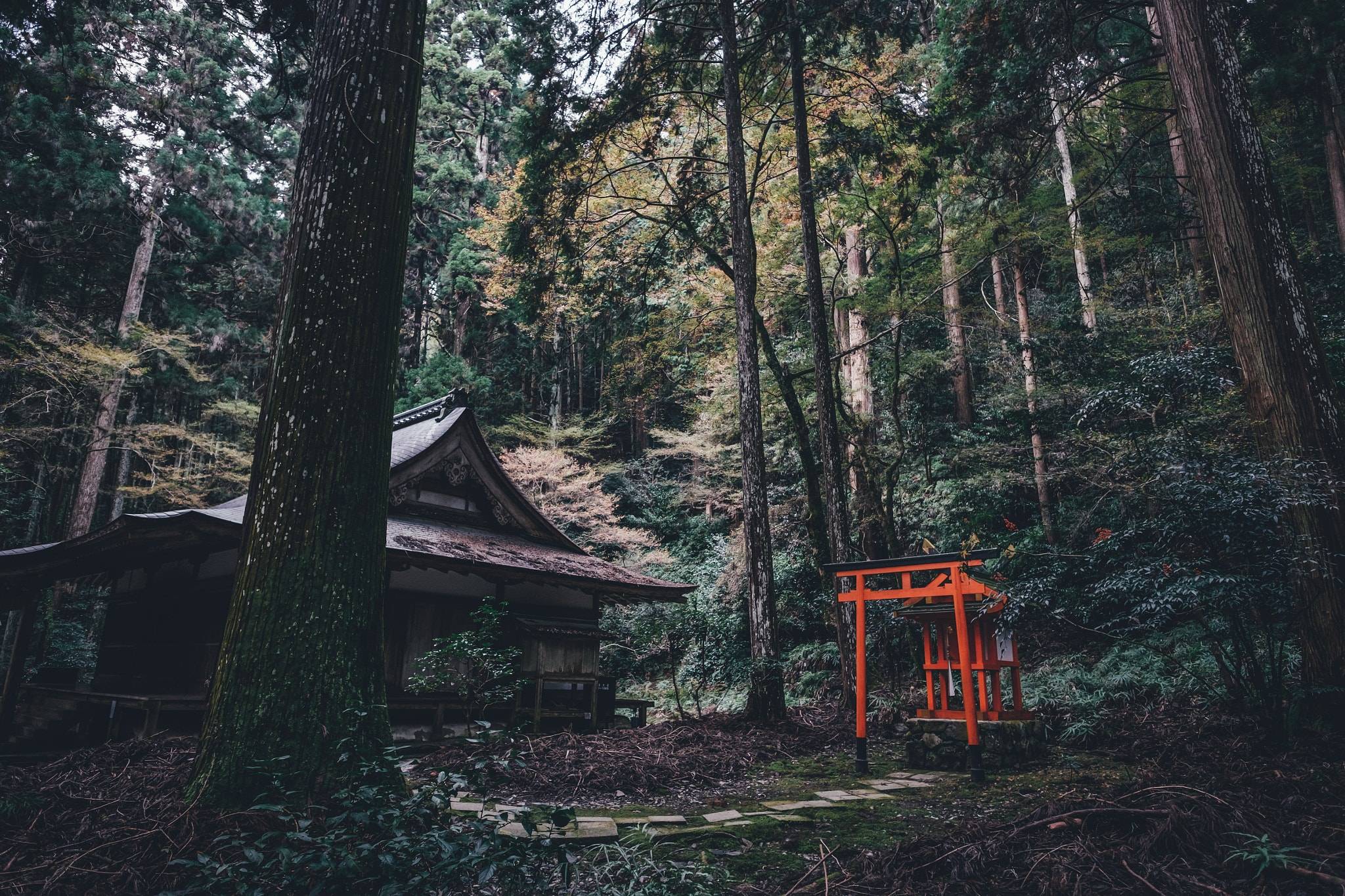 国外留学机构排行榜前十名有哪些