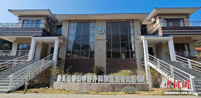 “穿山甲带崽”频现广东象头山 形成稳定繁殖种群