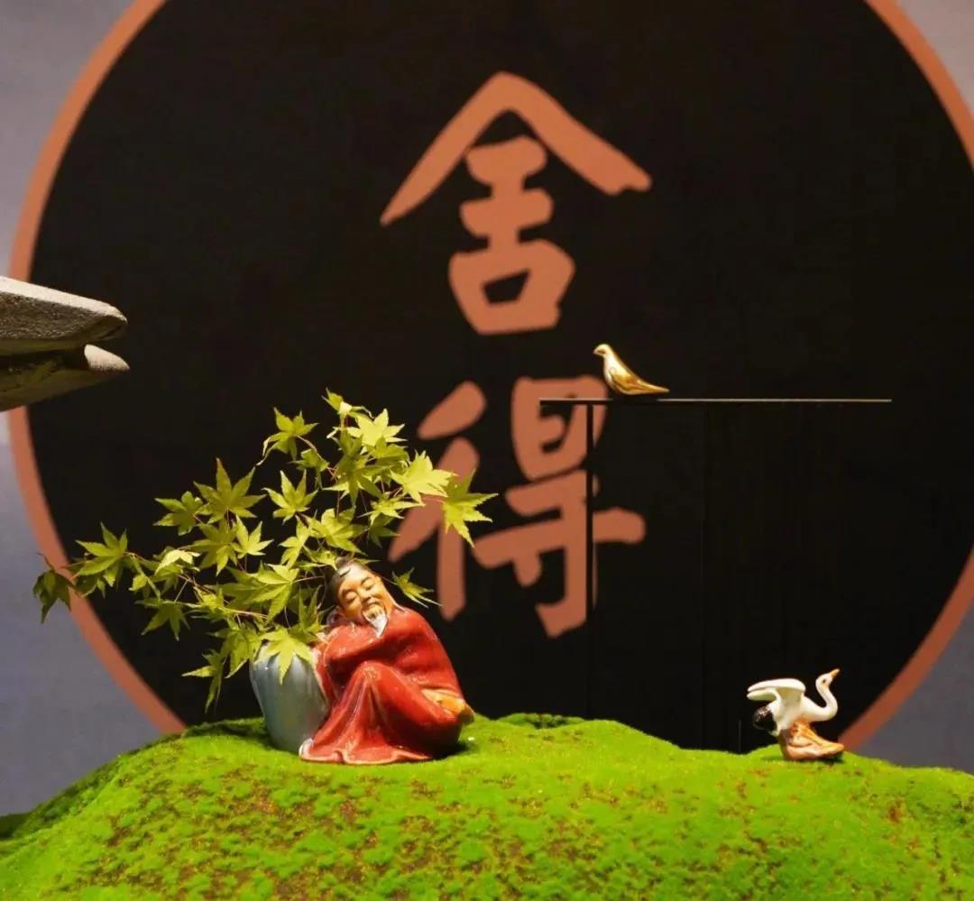 舍得股票股吧(买什么股票最安全挣钱哪里找)