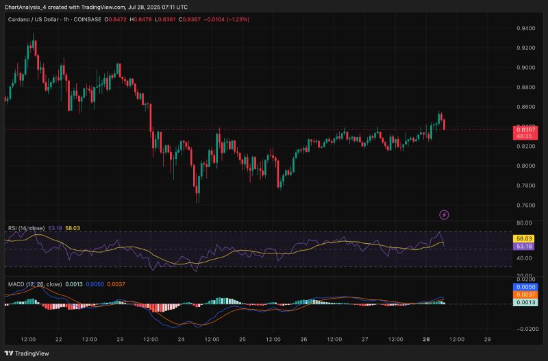 艾达币交易(艾达币合法吗)